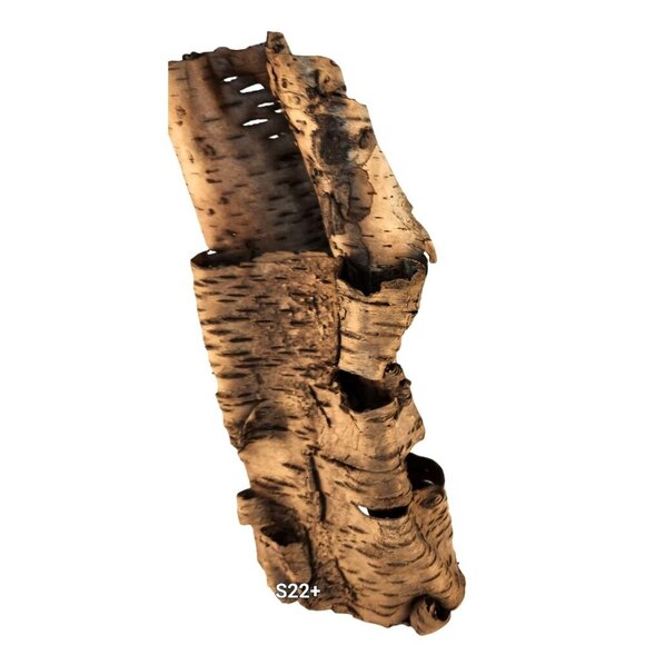 Natural Birch Bark Sheets For Crafting & Decor - Picture 8 of 8